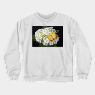 Yellow Butterfly On White Hydrangea Crewneck Sweatshirt